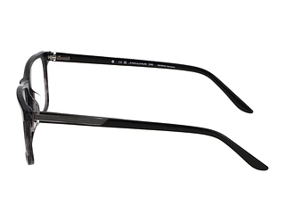 Seitenansicht Jaguar 31031 (5318)