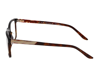 Seitenansicht Jaguar 31031 (8940)