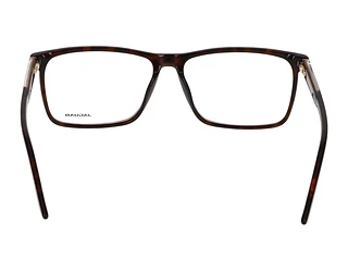 Rückansicht Jaguar 31031 (8940)