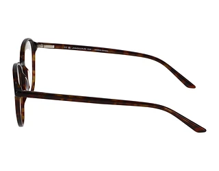 Seitenansicht Jaguar 31523 (8940)