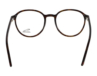 Rückansicht Jaguar 31523 (8940)