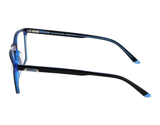 Seitenansicht Jaguar 31525 (4928)