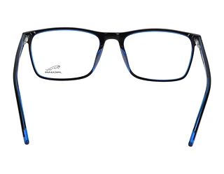 Rückansicht Jaguar 31525 (4928)