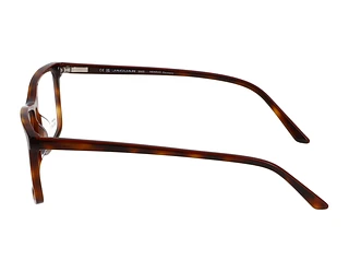 Seitenansicht Jaguar 31526 (4982)