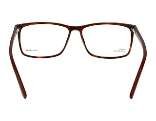 Rückansicht Jaguar 31526 (4982)