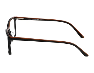 Seitenansicht Jaguar 31526 (8840)