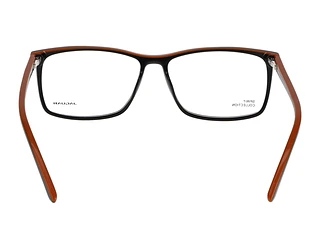 Rückansicht Jaguar 31526 (8840)