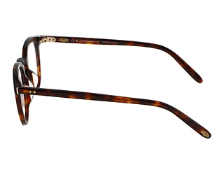 Seitenansicht Jaguar 31710 (4838)