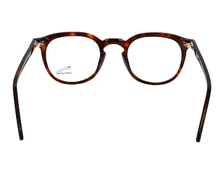 Rückansicht Jaguar 31710 (4838)