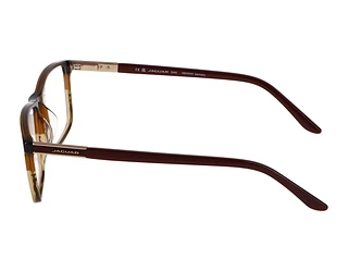 Seitenansicht Jaguar 32009 (5112)