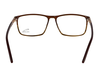 Rückansicht Jaguar 32009 (5112)