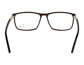 Rückansicht Jaguar 32009 (8940)