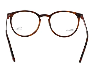 Rückansicht Jaguar 32502 (4982)