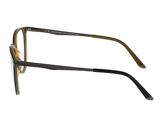 Seitenansicht Jaguar 32502 (5224)