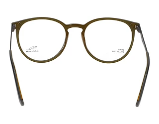 Rückansicht Jaguar 32502 (5224)