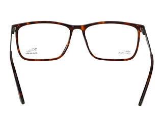 Rückansicht Jaguar 32503 (4838)