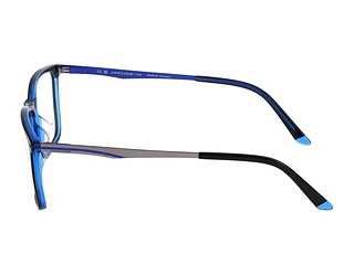 Seitenansicht Jaguar 32503 (4928)