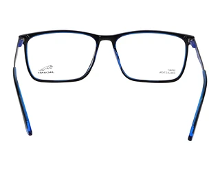 Rückansicht Jaguar 32503 (4928)