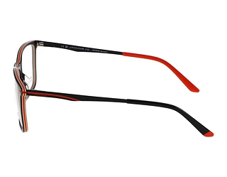 Seitenansicht Jaguar 32503 (5085)