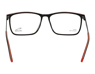 Rückansicht Jaguar 32503 (5085)