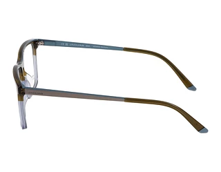 Seitenansicht Jaguar 32504 (5309)