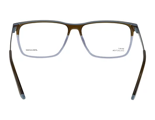 Rückansicht Jaguar 32504 (5309)