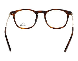 Rückansicht Jaguar 32707 (5300)