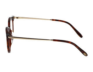 Seitenansicht Jaguar 32708 (4838)