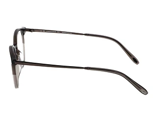 Seitenansicht Jaguar 32708 (5282)