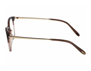 Seitenansicht Jaguar 32709 (5283)