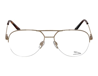 Seitenansicht Jaguar 33107 (6000)