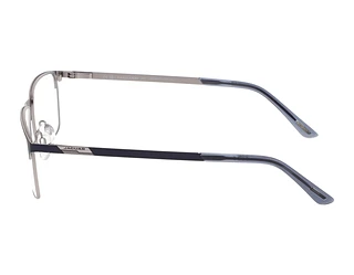 Seitenansicht Jaguar 33115 (3100)