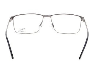 Rückansicht Jaguar 33115 (3100)