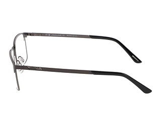 Seitenansicht Jaguar 33115 (4200)