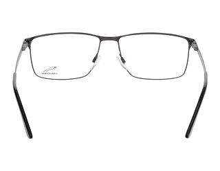 Rückansicht Jaguar 33115 (4200)