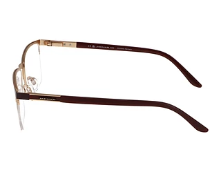 Seitenansicht Jaguar 33121 (2100)