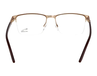 Rückansicht Jaguar 33121 (2100)