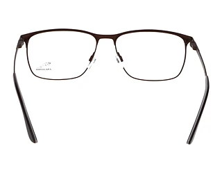 Rückansicht Jaguar 33123 (2100)