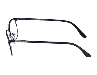 Seitenansicht Jaguar 33123 (3100)