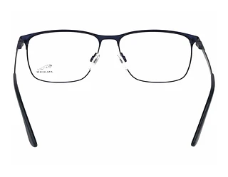 Rückansicht Jaguar 33123 (3100)