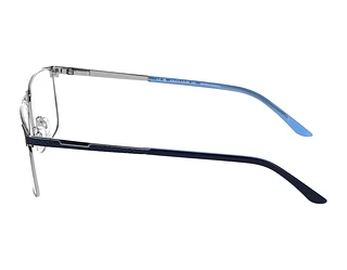 Seitenansicht Jaguar 33125 (3100)