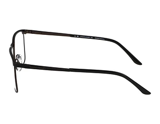 Seitenansicht Jaguar 33126 (6100)