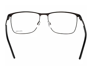 Rückansicht Jaguar 33126 (6100)