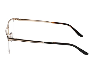 Seitenansicht Jaguar 33127 (6100)