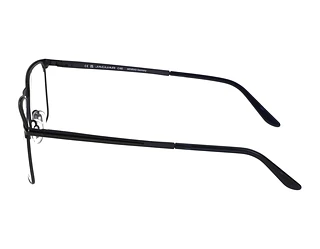 Seitenansicht Jaguar 33128 (3100)