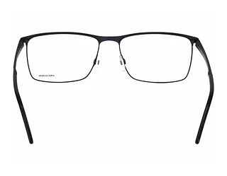 Rückansicht Jaguar 33128 (3100)