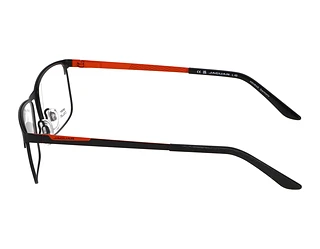 Seitenansicht Jaguar 33586 (1089)