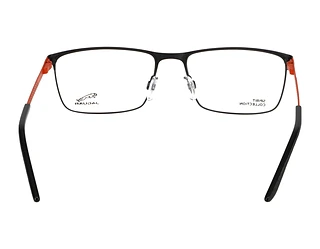 Rückansicht Jaguar 33586 (1089)