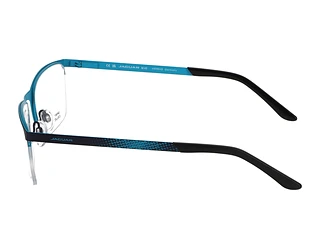 Seitenansicht Jaguar 33599 (1174)