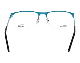 Rückansicht Jaguar 33599 (1174)